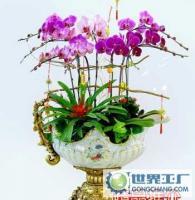 杭州花卉盆景植物租賃租擺服務，世界工廠網供應信息